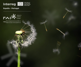 Fundo escuro com flor leve