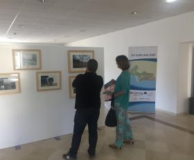 exposição faculdade direito