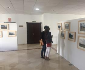 exposição faculdade direito