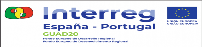 Guad20.png logo guad20