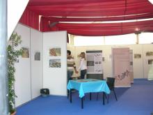 exposições